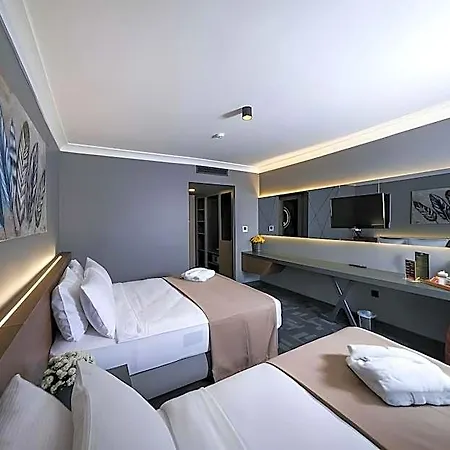 Luxon Sakarya Sapanca