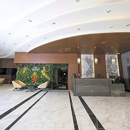 Luxon Sakarya Hotel 4*